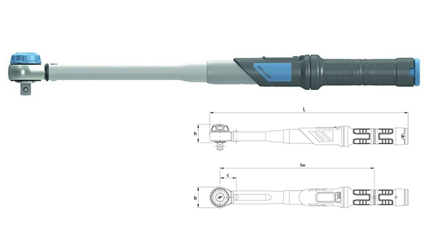 co-le-luc-gsedore-DMK100-2